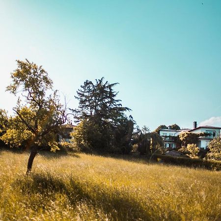 Hungen Bed & Breakfast Unter Den Linden المظهر الخارجي الصورة