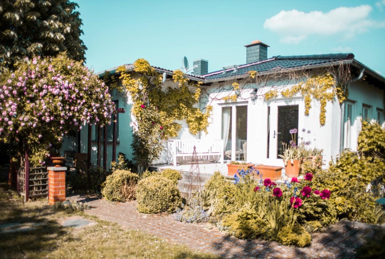 Hungen Bed & Breakfast Unter Den Linden المظهر الخارجي الصورة