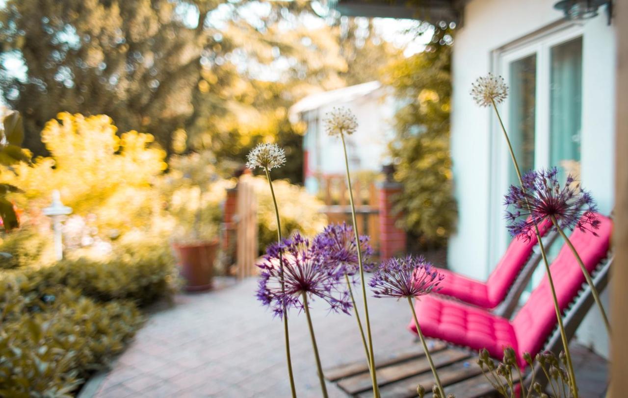 Hungen Bed & Breakfast Unter Den Linden المظهر الخارجي الصورة
